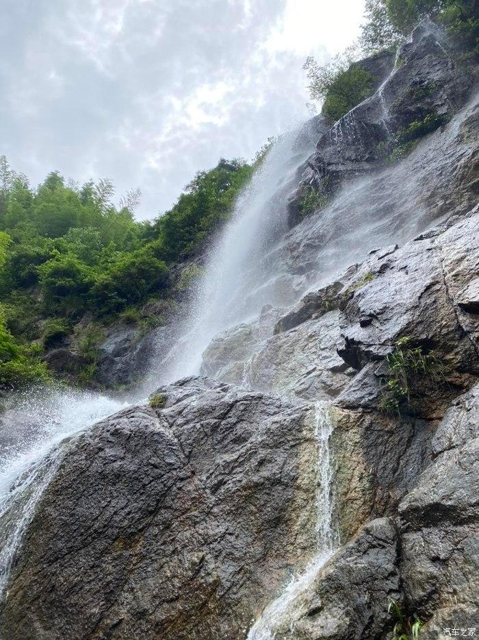 眼镜蛇秘密行动
